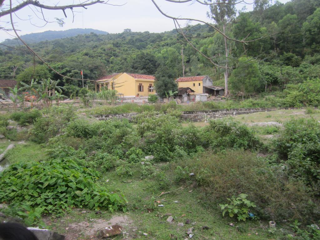 Bai Huong Cu Lao Cham Homestay Tân Hiệ Εξωτερικό φωτογραφία